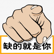 新疆甘德智软件网-人才招